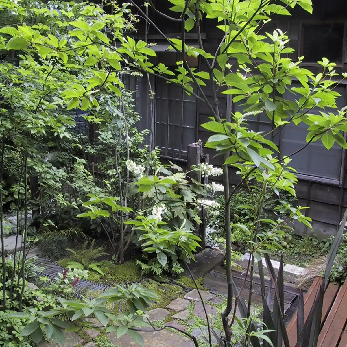 神奈川県逗子市　2003年の施工事例 - 9枚目