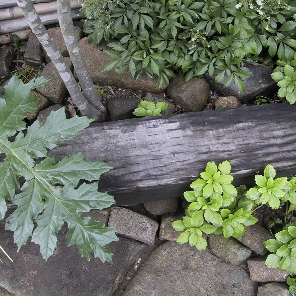 神奈川県逗子市　2003年の施工事例 - 10枚目