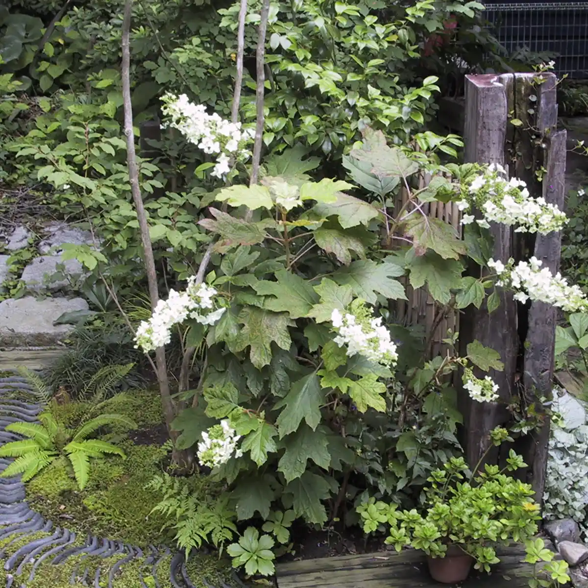 神奈川県逗子市　2003年の施工事例 - 12枚目