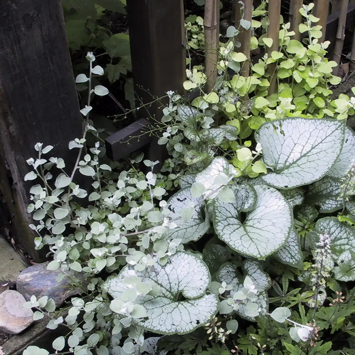 神奈川県逗子市　2003年の施工事例 - 21枚目