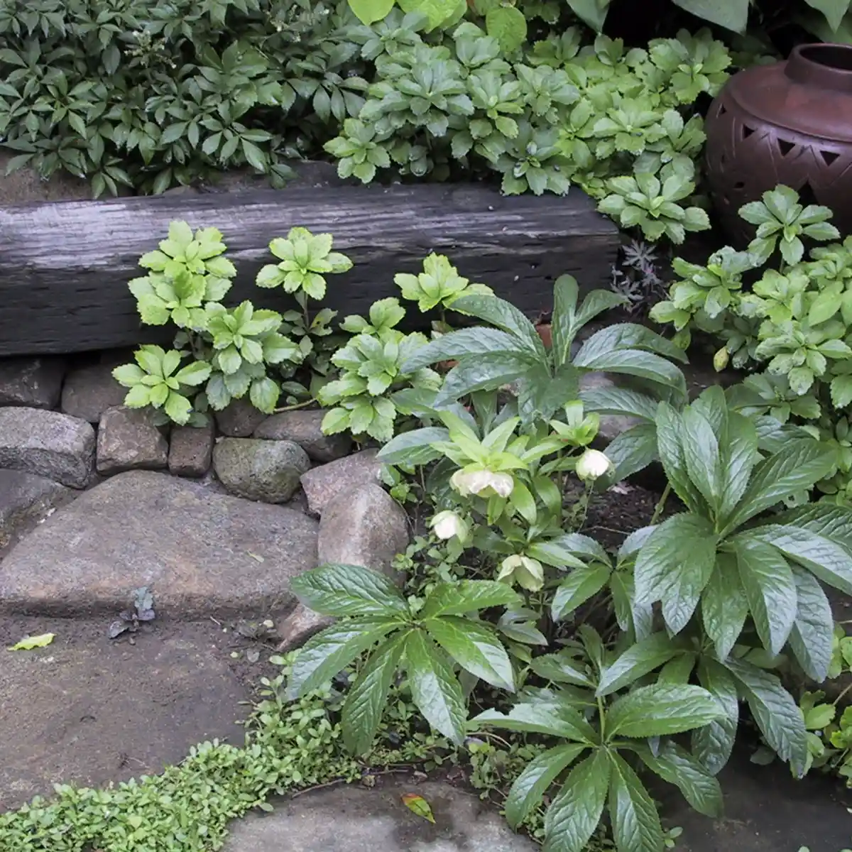 神奈川県逗子市　2003年の施工事例 - 34枚目