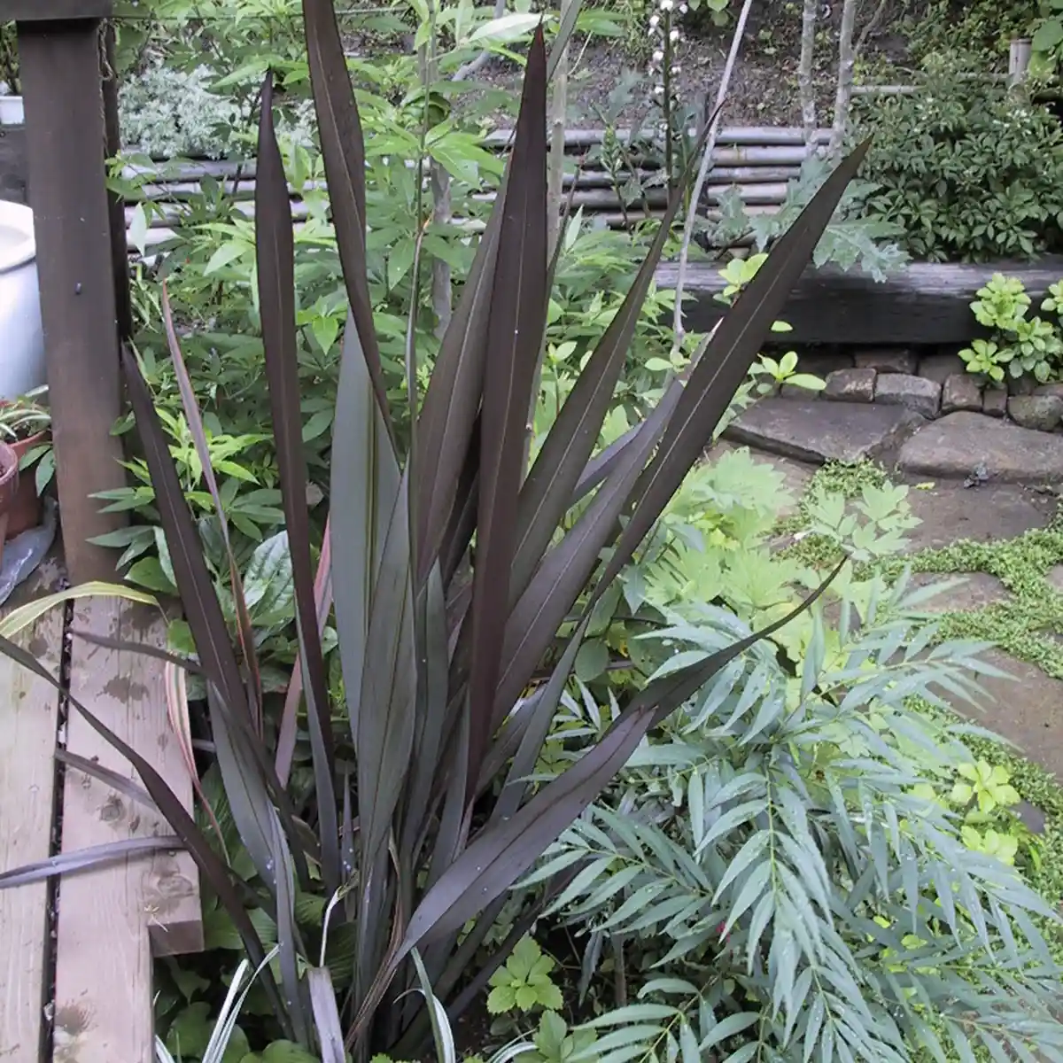 神奈川県逗子市　2003年の施工事例 - 35枚目