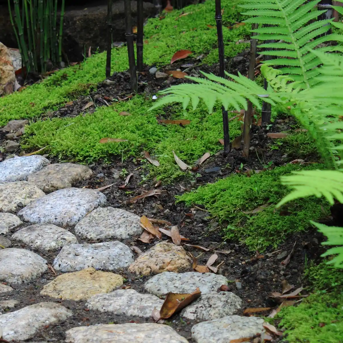 神奈川県鎌倉市　2010年の施工事例 - 1枚目