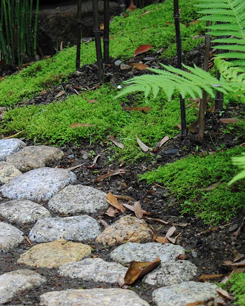 神奈川県鎌倉市　2010年