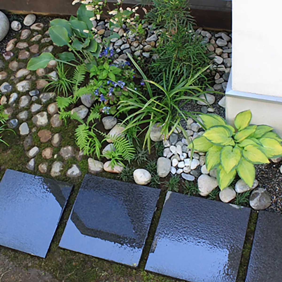 神奈川県逗子市　2010年の施工事例 - 6枚目