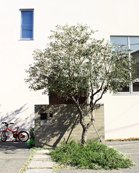 神奈川県藤沢市　2009年