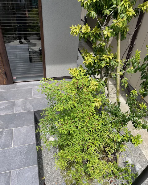 神奈川県逗子市　2024年