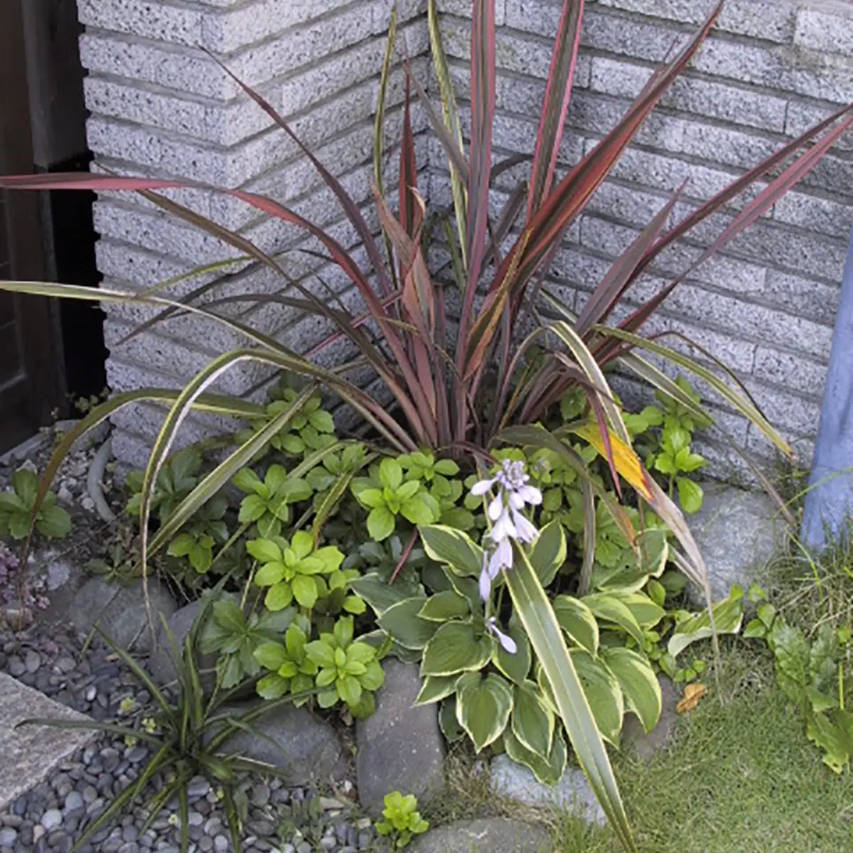 神奈川県逗子市　2005年の施工事例 - 4枚目